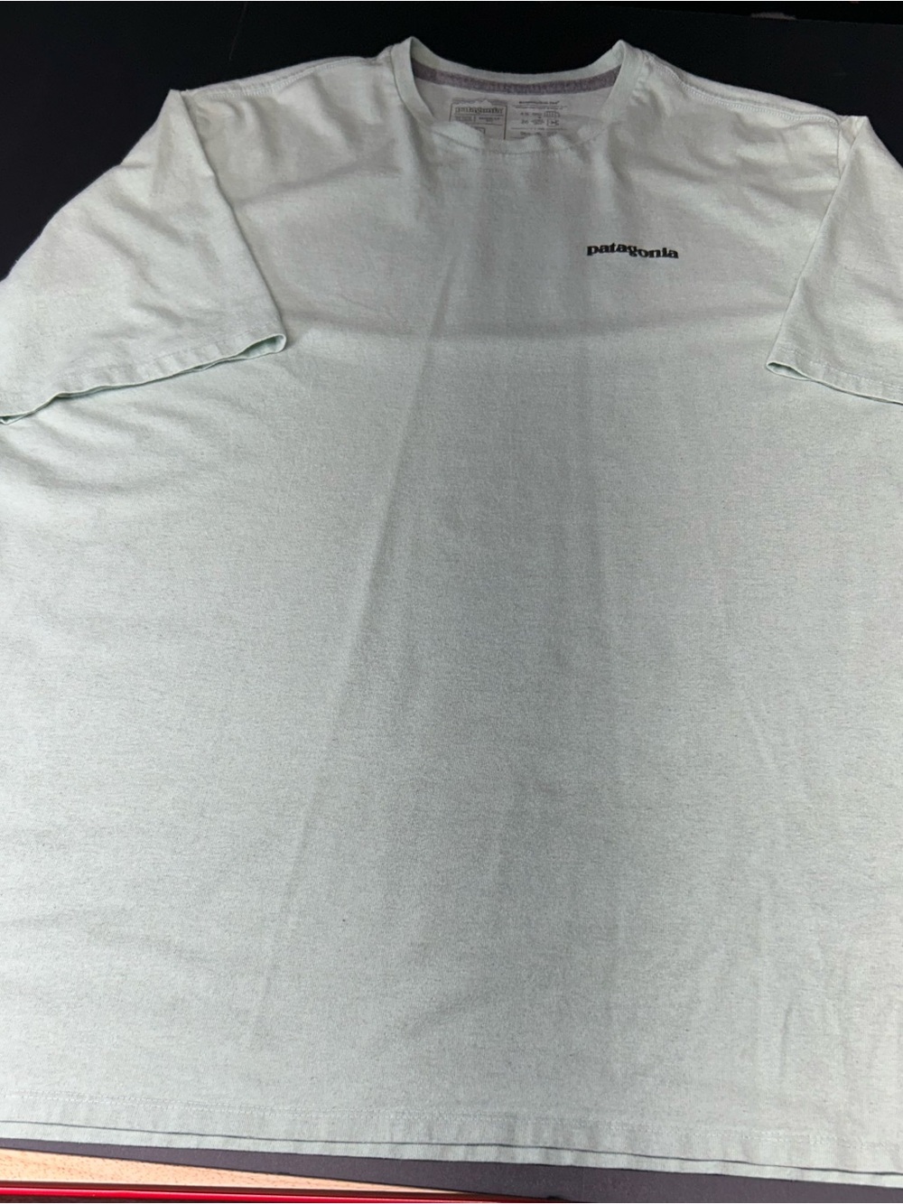 Patagonia Light Mint Crewneck Short Sleeve Tee